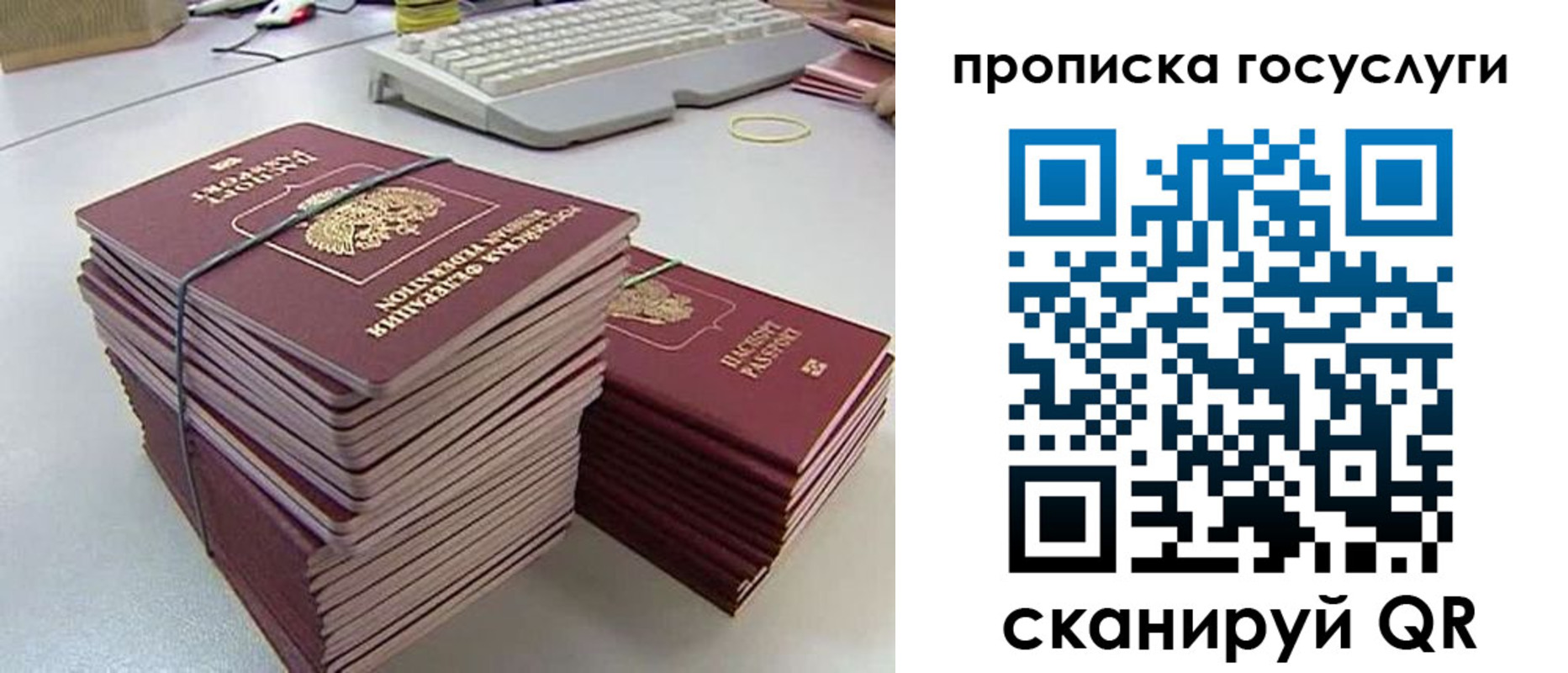 временная регистрация для школы в Липецкая области